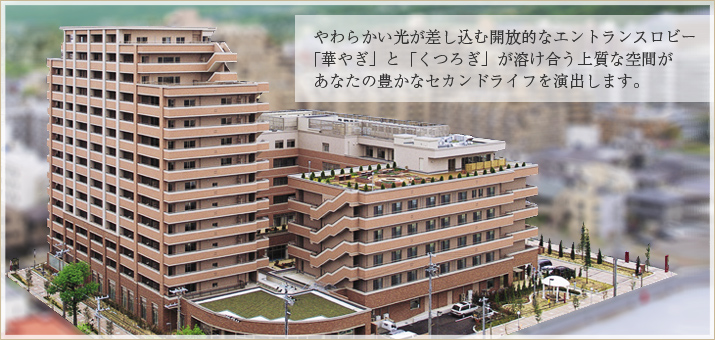 エレガーノ甲南 エレガーノ甲南