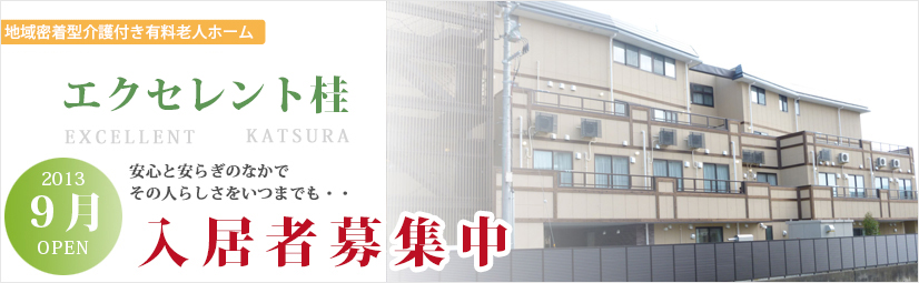 エクセレント桂 エクセレント桂