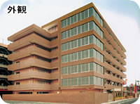 花咲 八尾 花咲 八尾