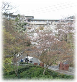京都ヴィラ 京都ヴィラ